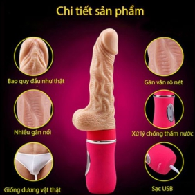 Dương vật giả đa năng Ailette