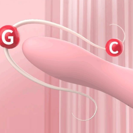 Chày massage 2 đầu Sagan