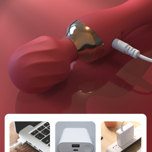 Chày Massage 2 Đầu Sagan