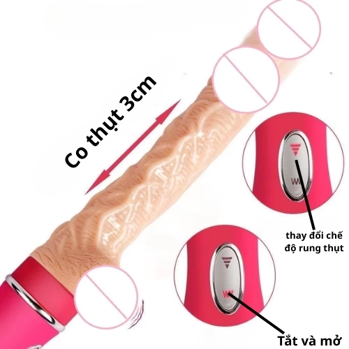 Dương vật giả đa năng Ailette